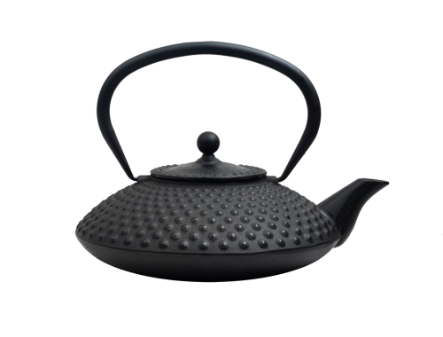 Japanese cast iron teapot - Satake