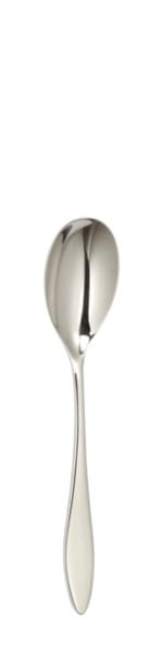 Terra Dessert spoon 195 mm - Solex