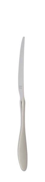 Terra Table knife 239 mm - Solex