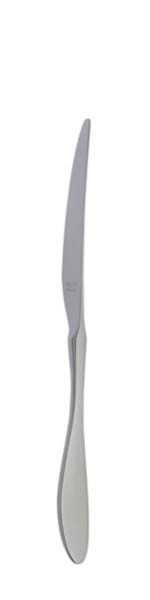 Terra Retro Table knife 239 mm - Solex