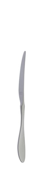 Terra Retro Dessert knife 210 mm - Solex