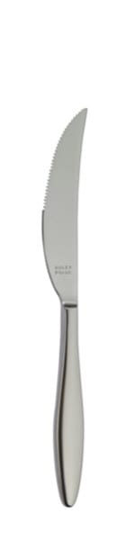 Terra Retro Steak knife 239 mm - Solex