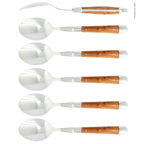 Sechs Löffel, En Griff, poliert, Tradition - Forge de Laguiole