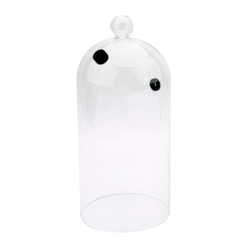 Cloche en verre pour boissons - Sage