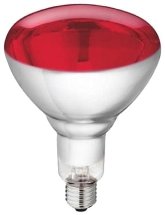 Glühbirne Philips IR Rot 250 W