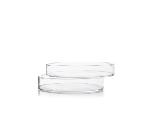 Petri dishes, 6cm, 12-pack - 100% Chef