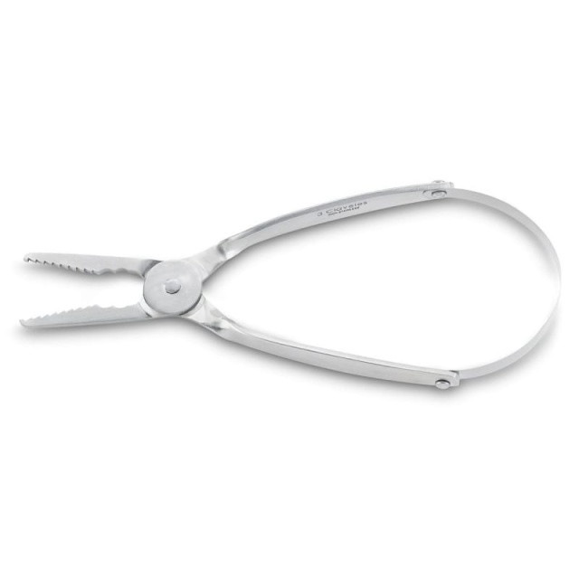 Shellfish scissors for smaller shellfish, 17.5 cm - 3 Claveles