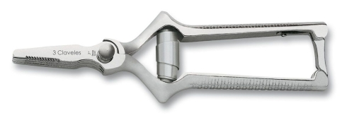 Straight masticator, raw beef scissors - 3 Claveles
