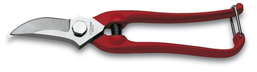 Grape Harvest Secateurs, 18 cm - 3 Claveles