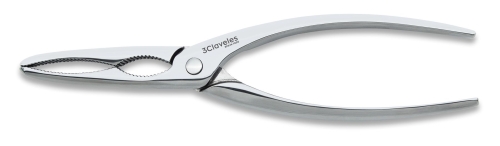 Seafood scissors, 20 cm - 3 Claveles