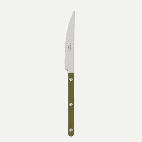 Table knife, Bistrot, Green fern - Sabre Paris