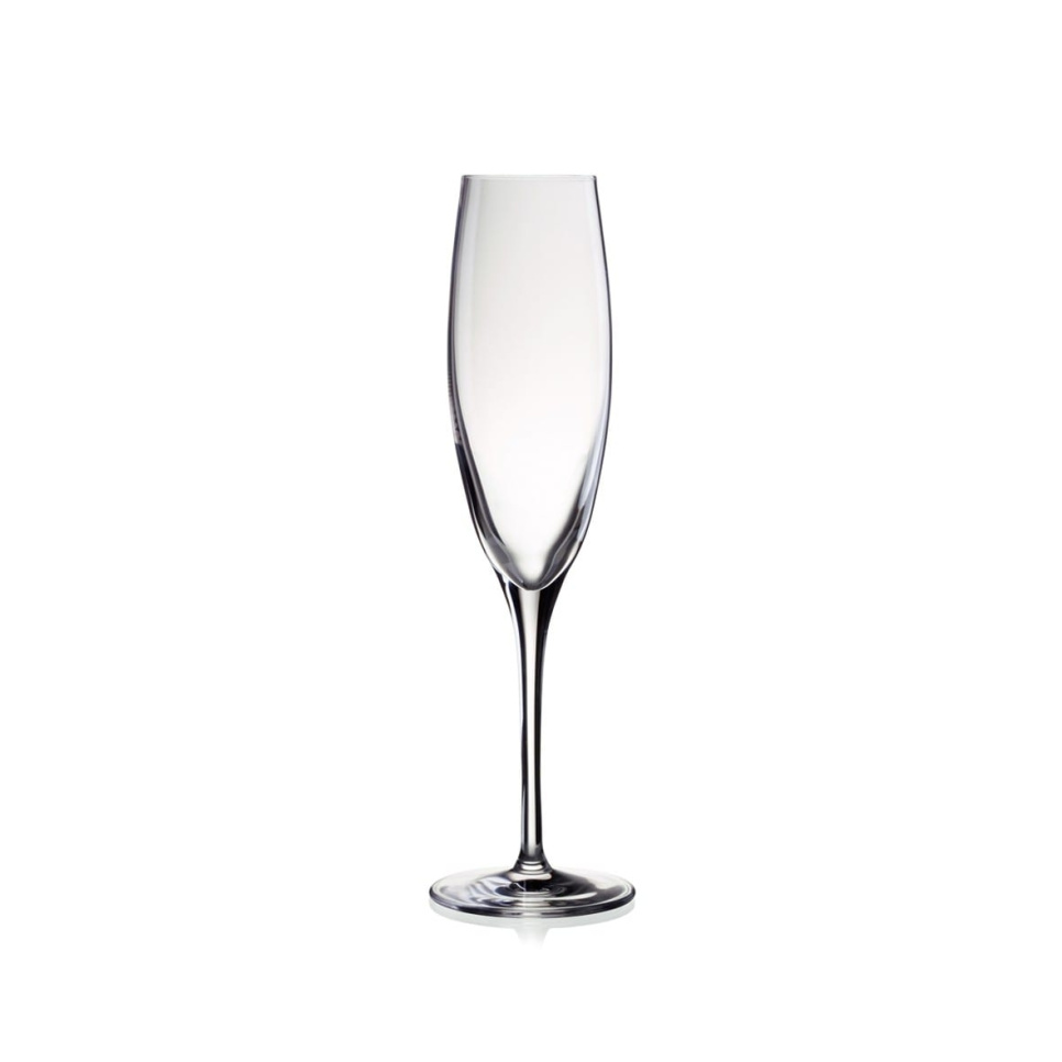 Champagne glass Penelopé 17 cl in the group Bar & Wine / Wine glass / Champagne glass at KitchenLab (1069-11129)