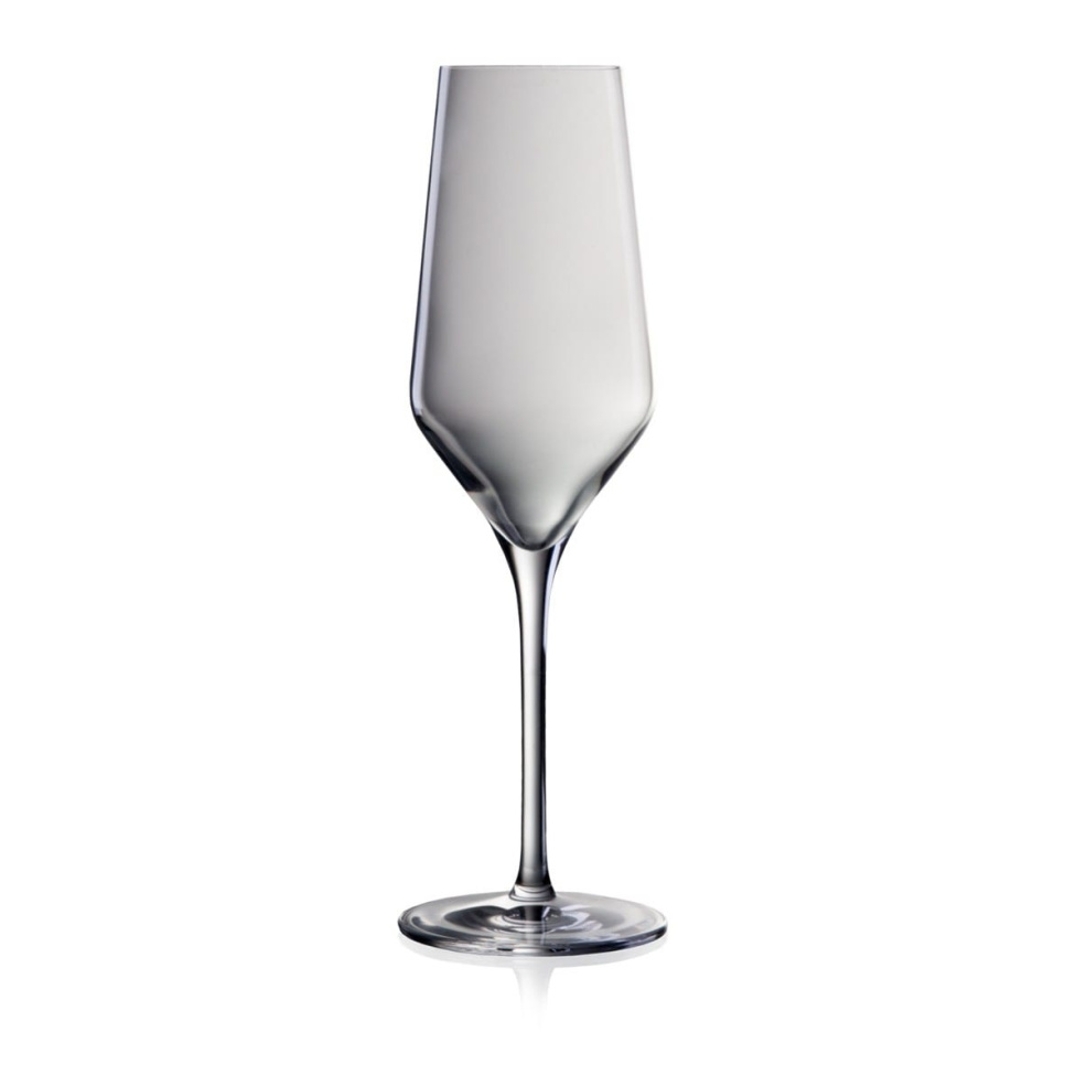 Champagne glass 240 ml, Bohemia Lucy in the group Bar & Wine / Wine glass / Champagne glass at KitchenLab (1069-12579)
