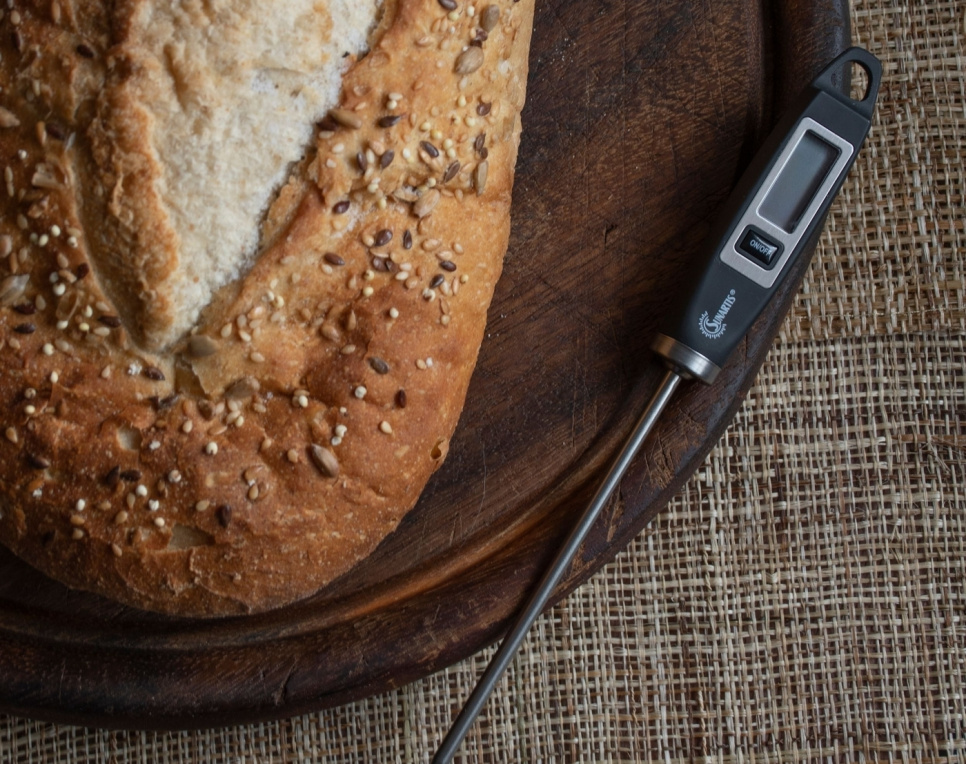 Universal thermometer, black - Mingle