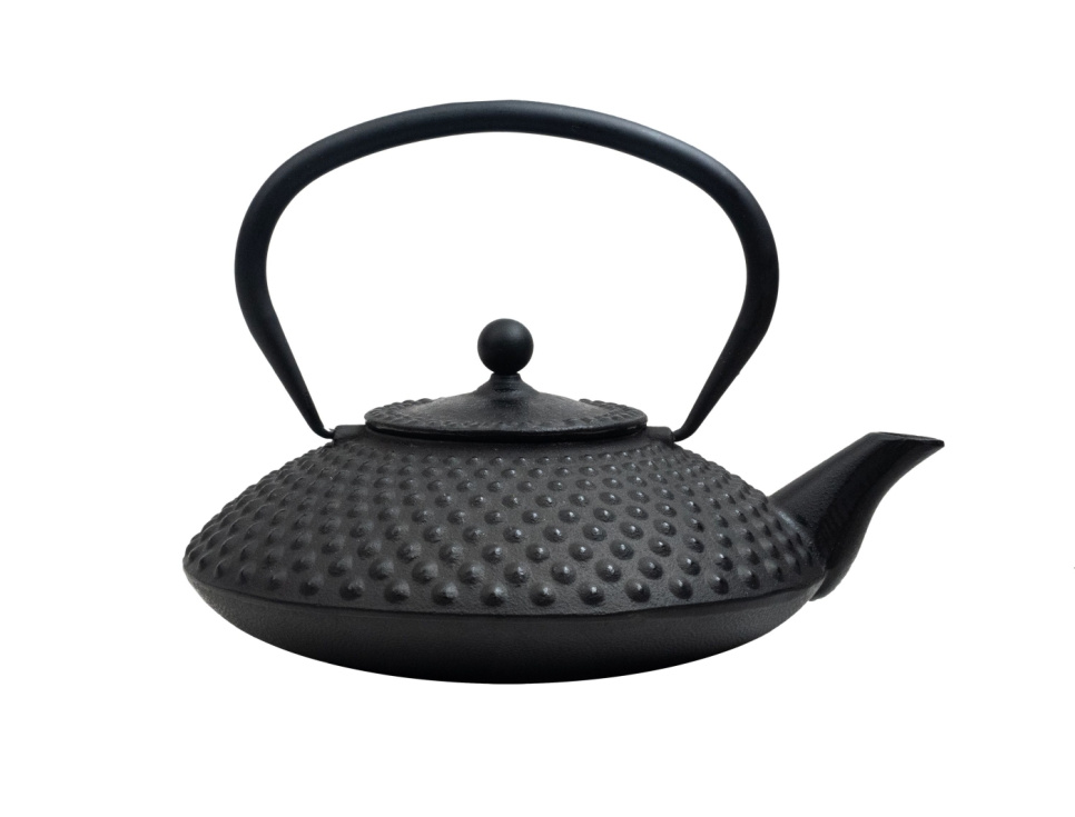 Japanese cast iron teapot - Satake in the group Tea & Coffee / Tea / Teapots at KitchenLab (1070-26758)