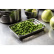Gastroblech 4er-Set - Culimat
