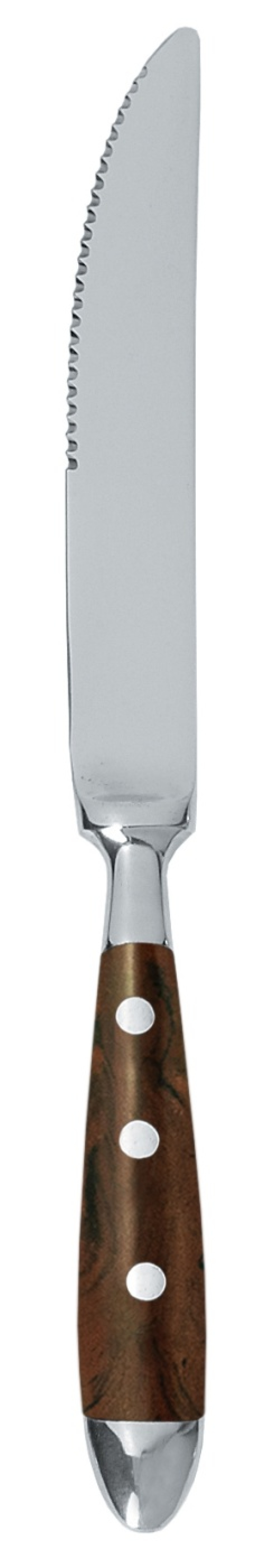Barbecue knife brown, 215 mm - Exxent Gourmé in the group Table setting / Cutlery / Knives at KitchenLab (1071-21732)