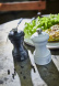 Salt Mill, 10 cm, Bistro, Black - Peugeot