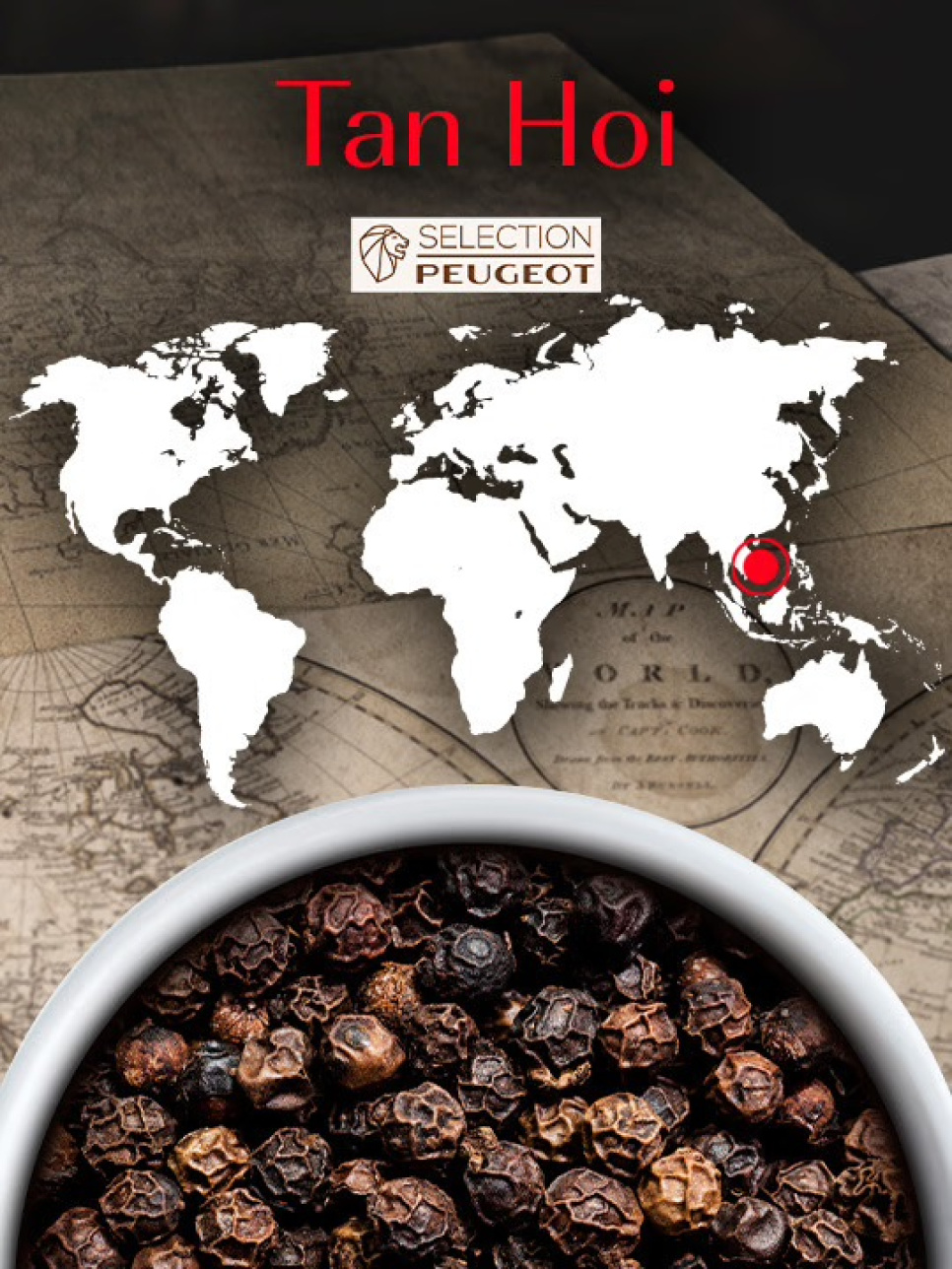 Pepper, Black Tan Hoi, 80 g, Vietnam - Peugeot in the group Cooking / Spices & Flavourings / Pepper at KitchenLab (1090-35303)