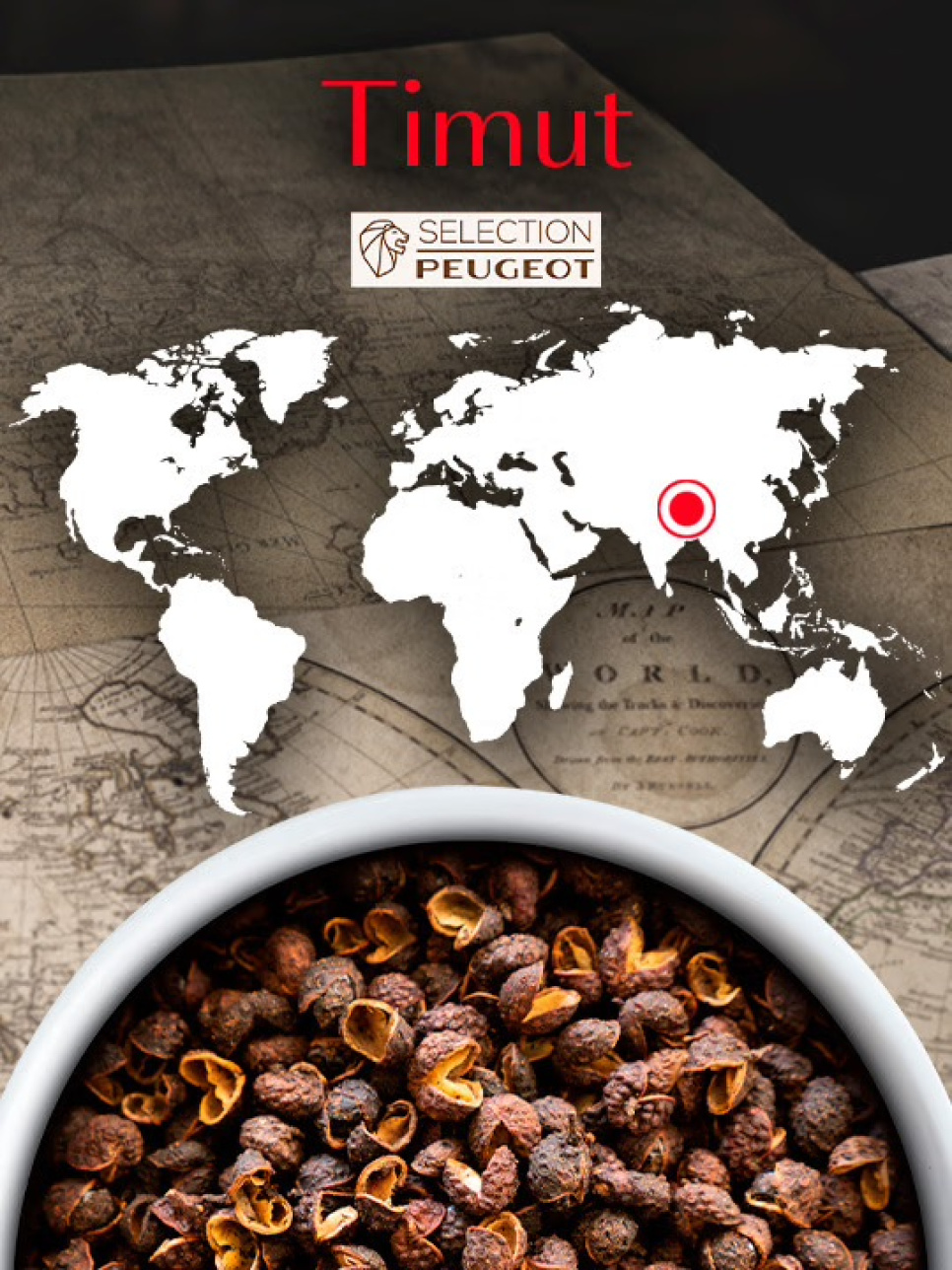 Pepper, Wild Timut, 40 g, Nepal - Peugeot in the group Cooking / Spices & Flavourings / Pepper at KitchenLab (1090-35304)