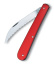 Baker\'s knife, dough knife, slicing knife