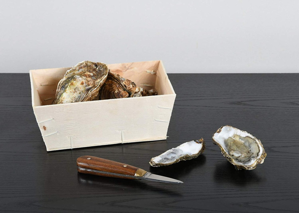 Oyster knife with wooden handle