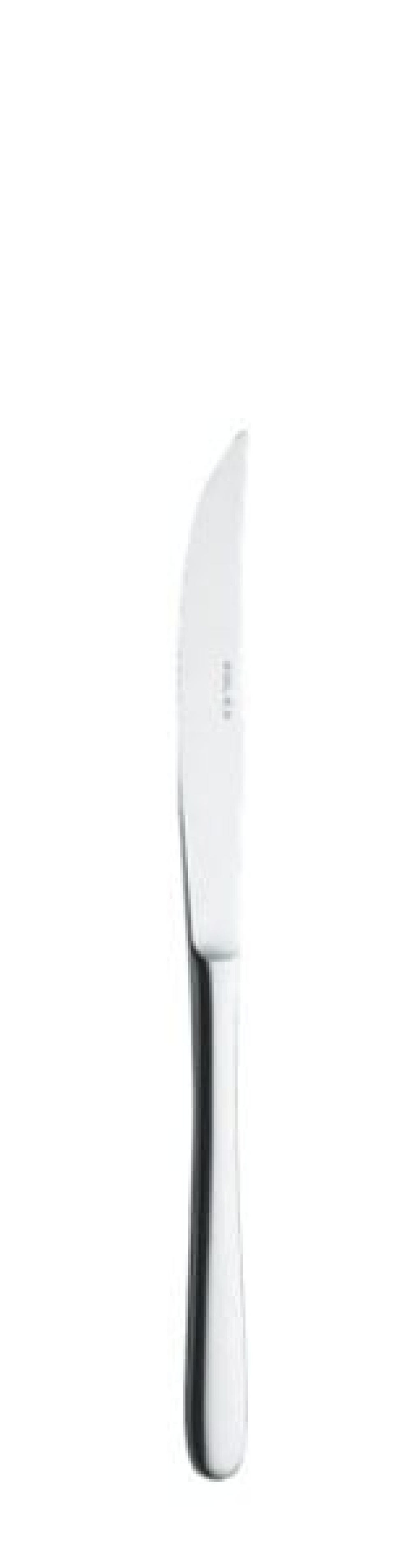 Anna Steak knife, 216mm in the group Table setting / Cutlery / Knives at KitchenLab (1284-14138)