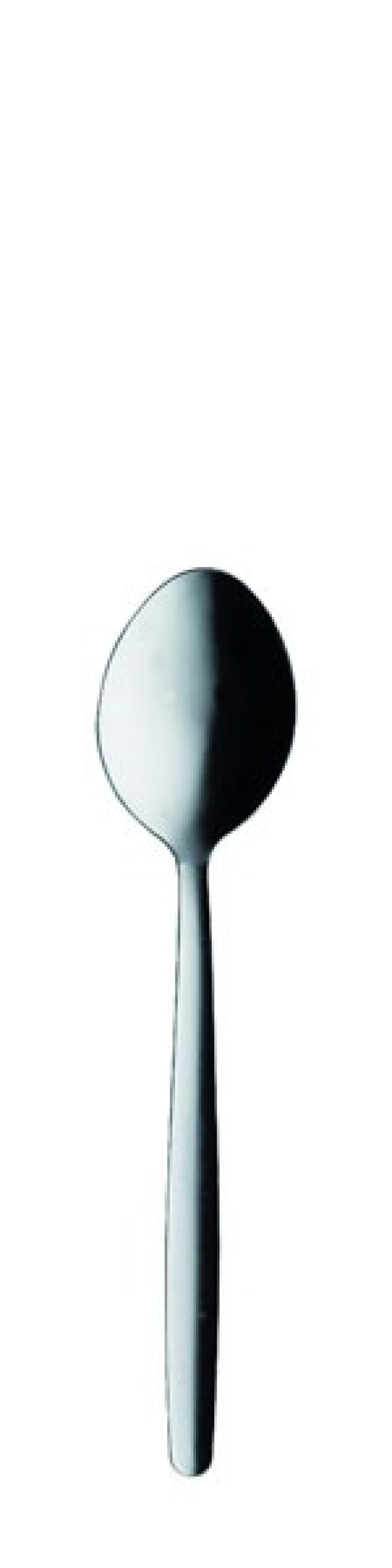 TM 80 Table spoon 188 mm - Solex in the group Table setting / Cutlery / Spoons at KitchenLab (1284-21399)