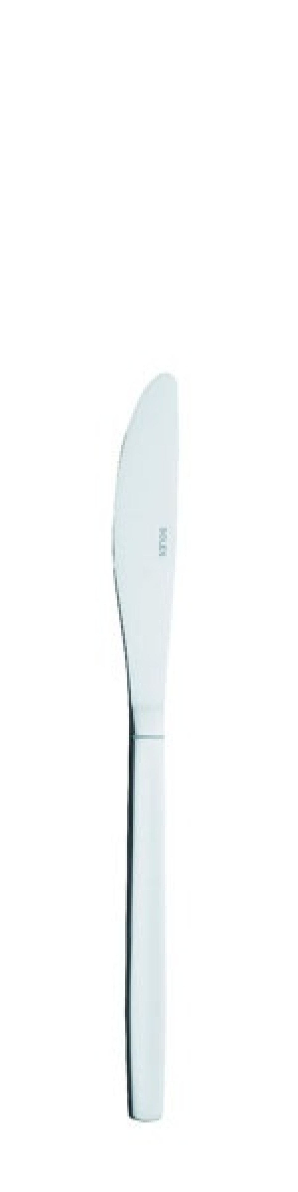 TM 80 Table knife 203 mm - Solex in the group Table setting / Cutlery / Knives at KitchenLab (1284-21405)