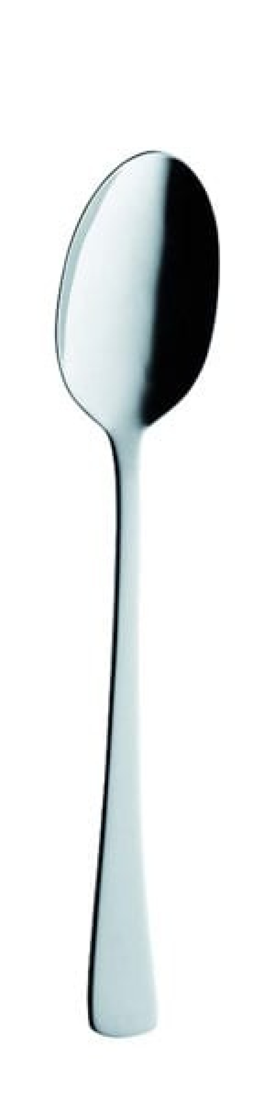 Karina Serving spoon 260 mm - Solex in the group Table setting / Cutlery / Serving utensils at KitchenLab (1284-21446)