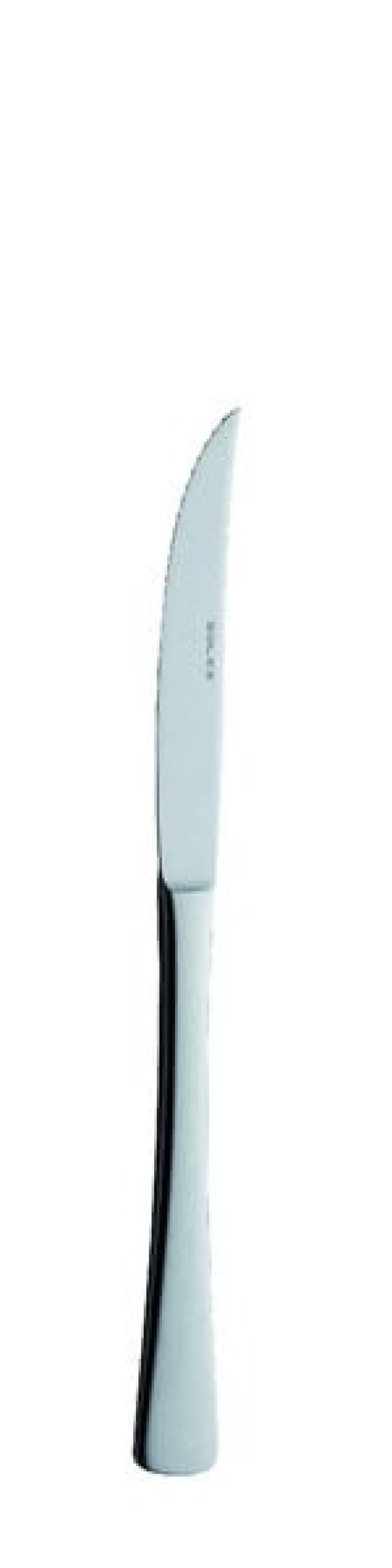 Karina Steak knife 219 mm - Solex in the group Table setting / Cutlery / Knives at KitchenLab (1284-21451)