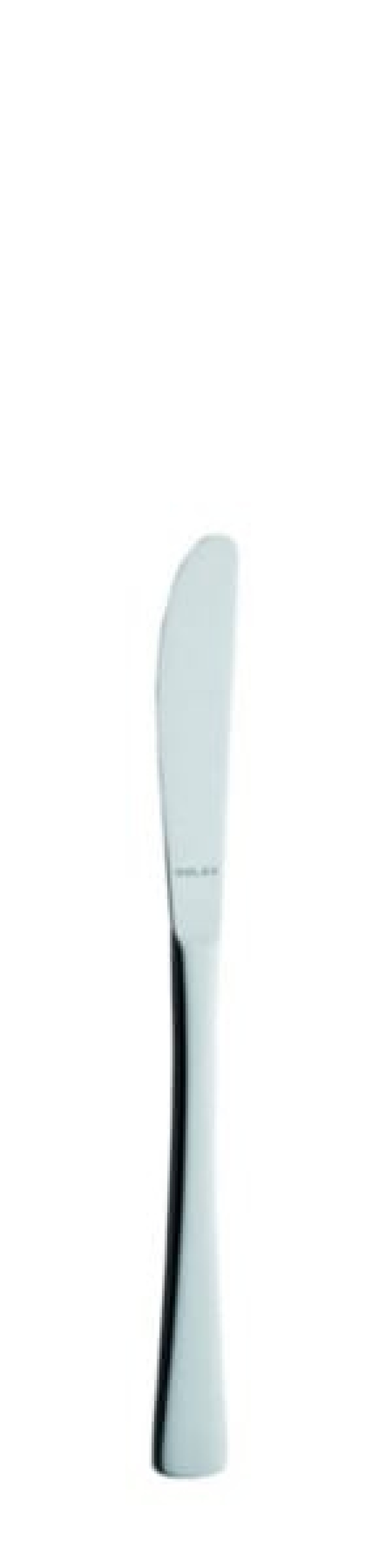 Karina Dessert knife 195 mm - Solex in the group Table setting / Cutlery / Knives at KitchenLab (1284-21455)