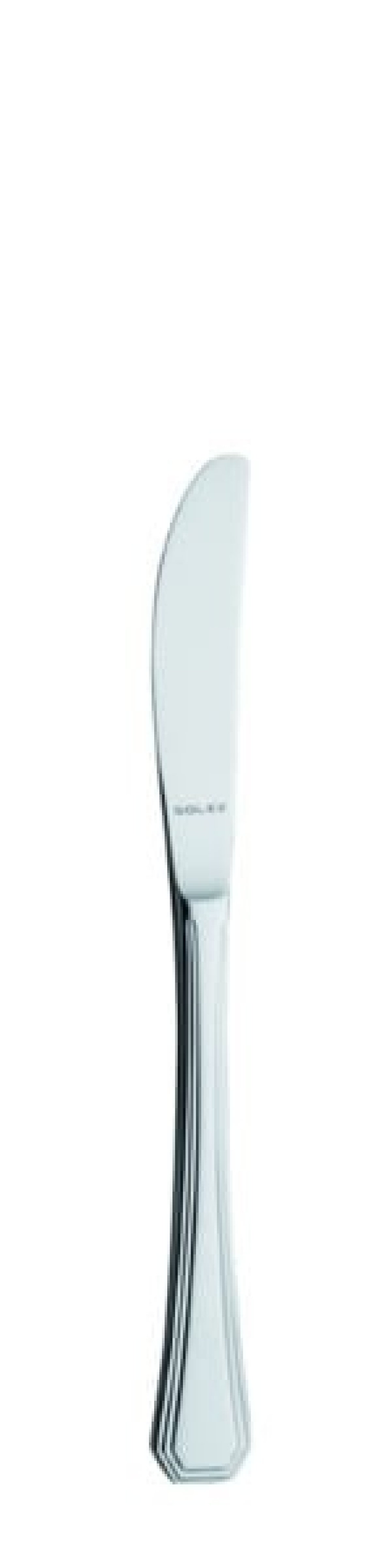 Katja Table knife 210 mm - Solex in the group Table setting / Cutlery / Knives at KitchenLab (1284-21471)