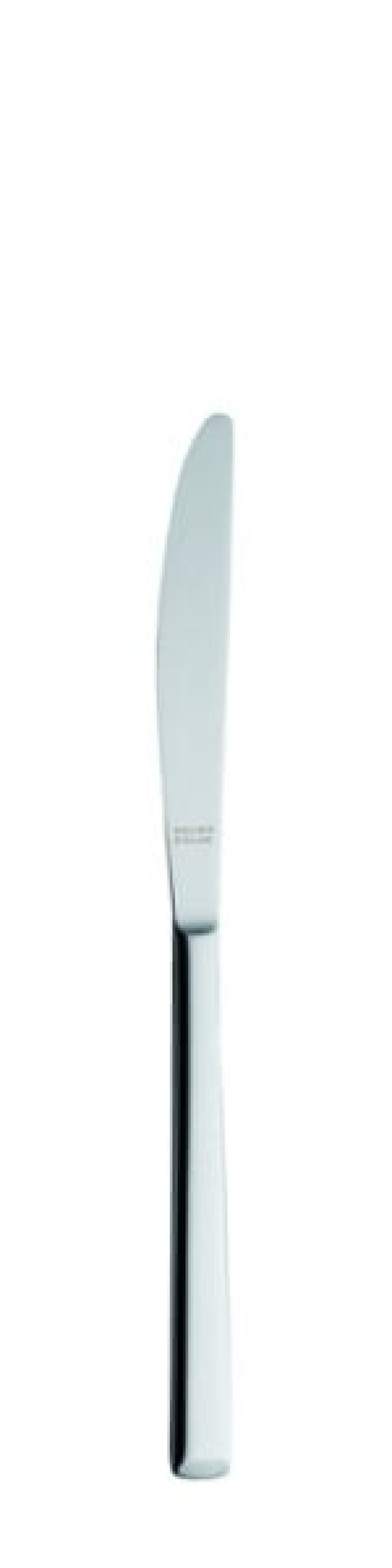 Laura Table knife 221 mm - Solex in the group Table setting / Cutlery / Knives at KitchenLab (1284-21494)