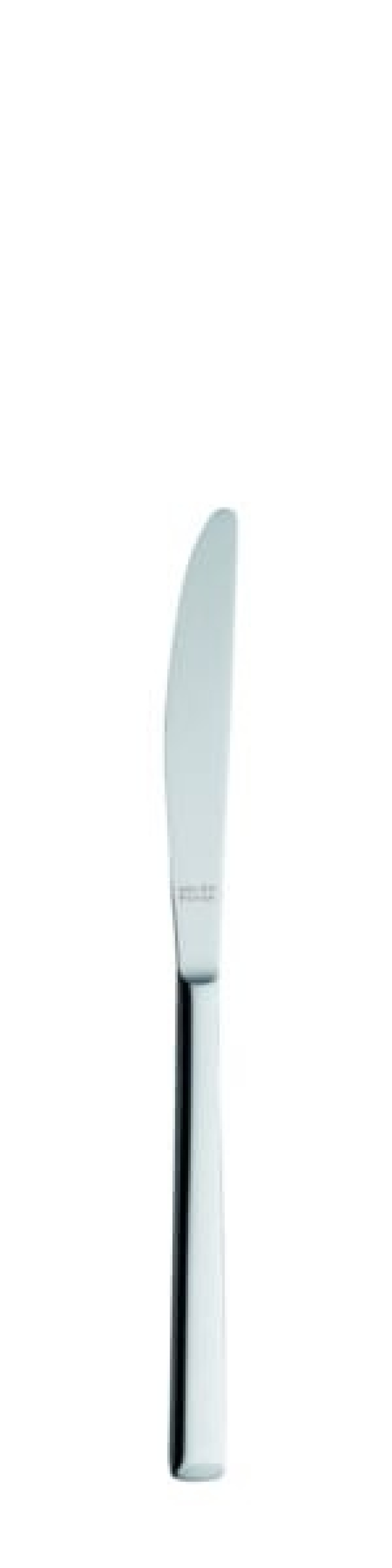 Laura Dessert knife 199 mm - Solex in the group Table setting / Cutlery / Knives at KitchenLab (1284-21495)