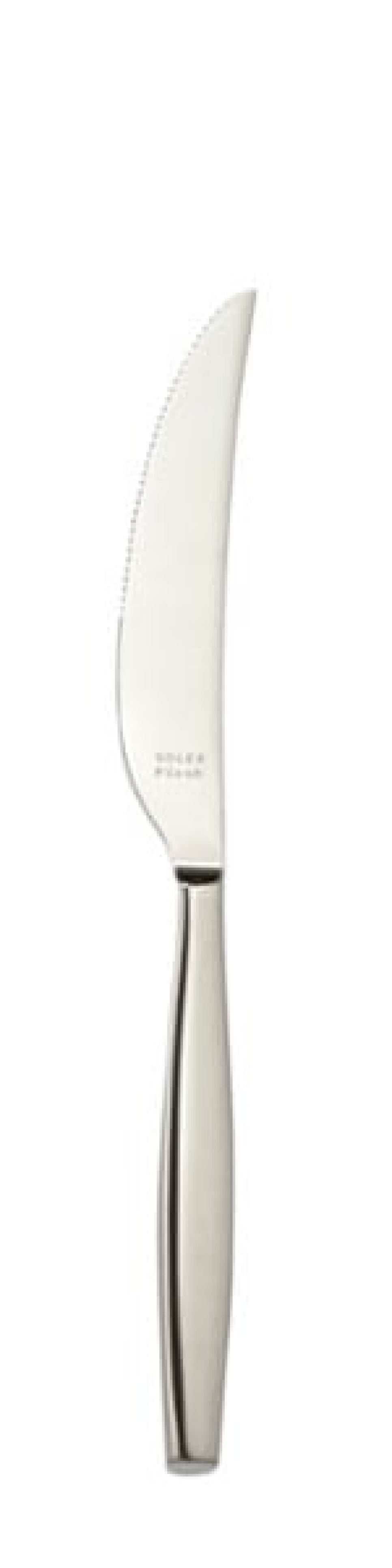 Laura Steak knife 244 mm - Solex in the group Table setting / Cutlery / Knives at KitchenLab (1284-21497)