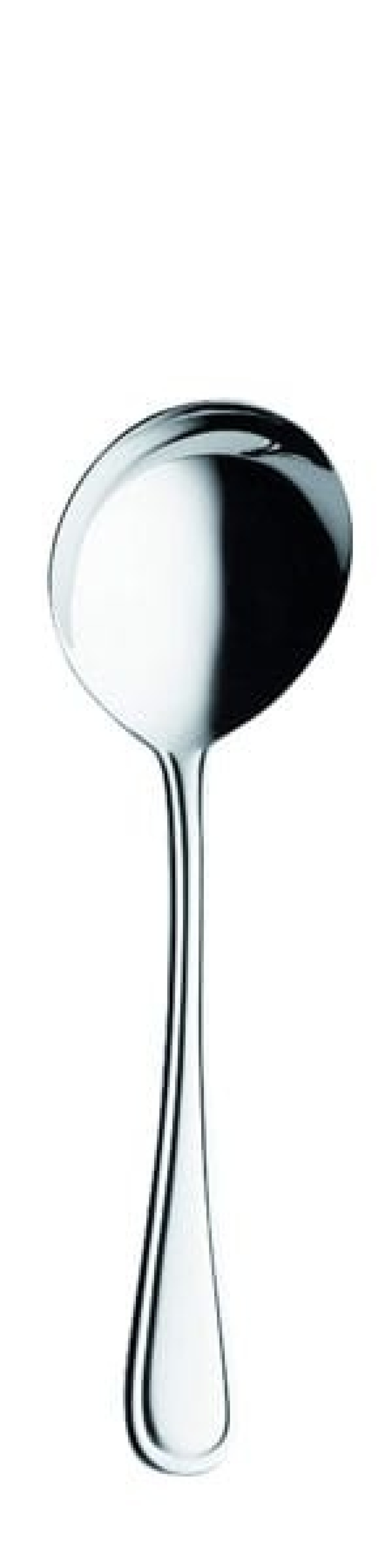 Selina Serving spoon 221 mm - Solex in the group Table setting / Cutlery / Serving utensils at KitchenLab (1284-21517)