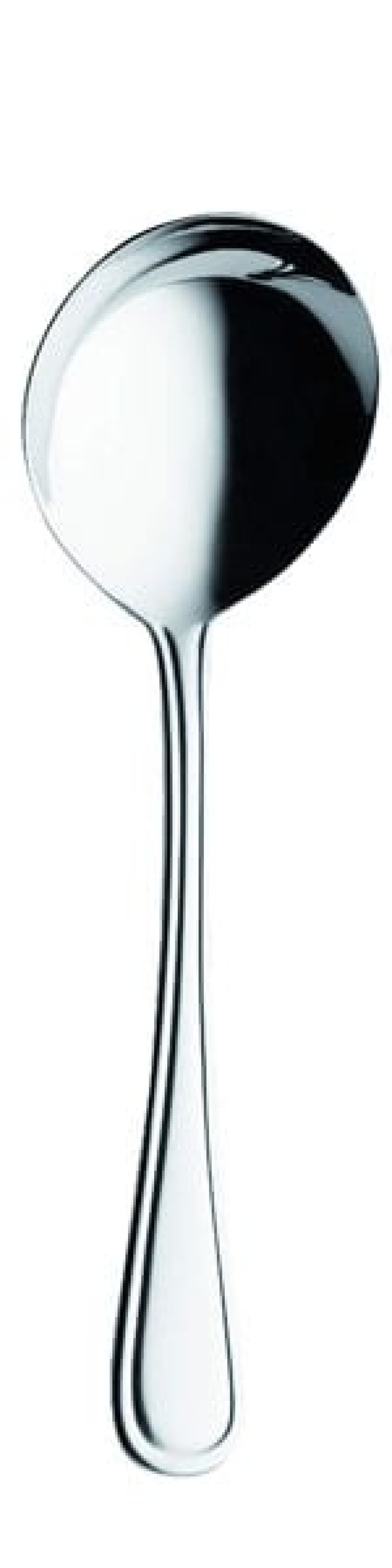 Selina Serving spoon 260 mm - Solex in the group Table setting / Cutlery / Serving utensils at KitchenLab (1284-21519)