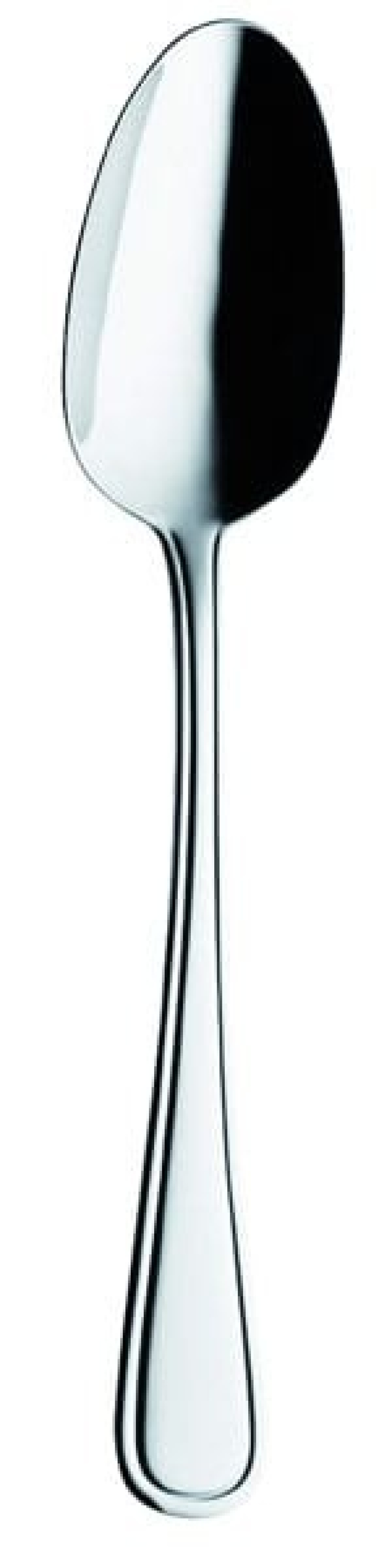 Selina Serving spoon 330 mm - Solex in the group Table setting / Cutlery / Serving utensils at KitchenLab (1284-21521)