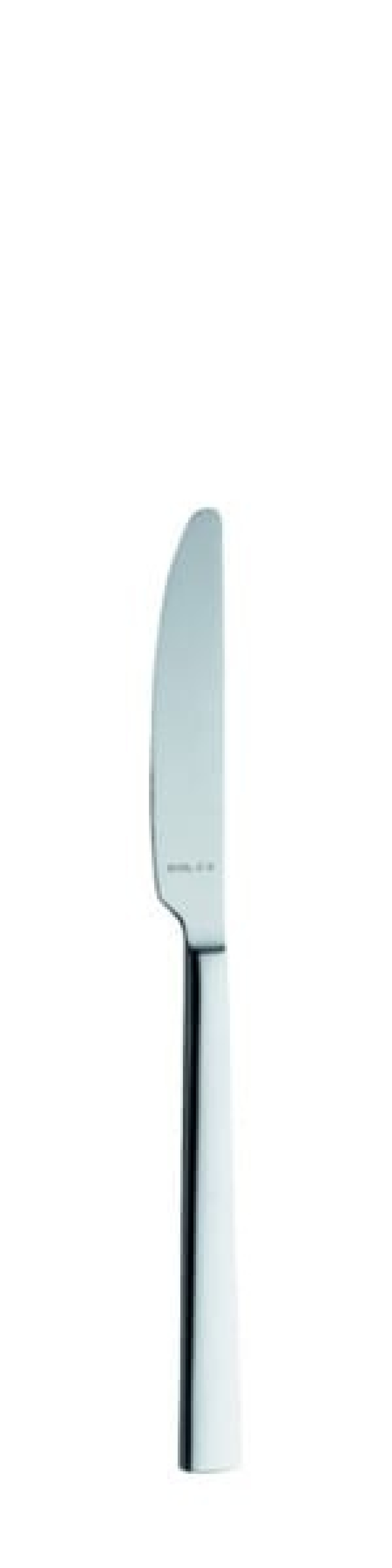 Helena Dessert knife 200 mm - Solex in the group Table setting / Cutlery / Knives at KitchenLab (1284-21567)