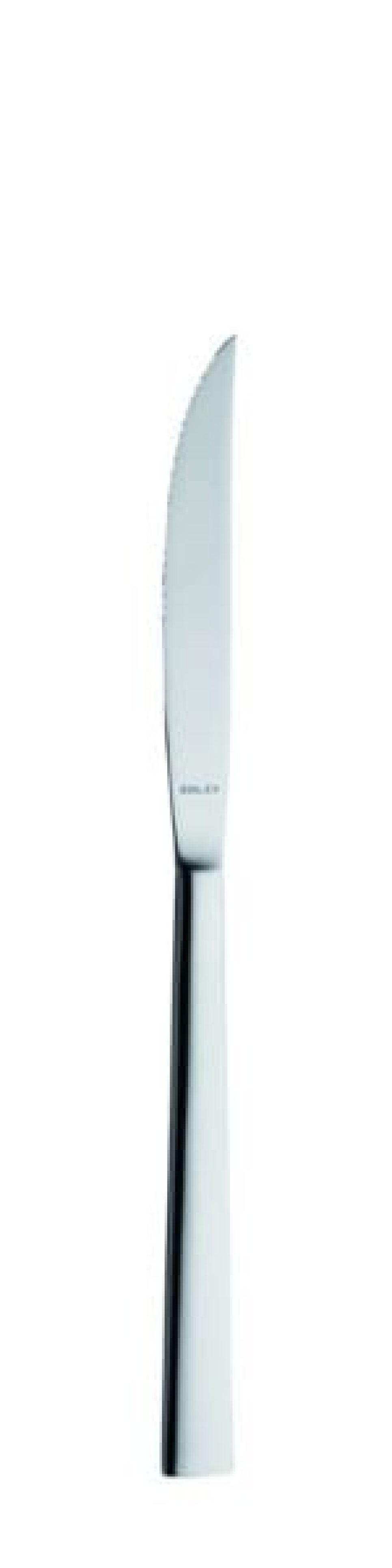 Helena Steak knife 233 mm - Solex in the group Table setting / Cutlery / Knives at KitchenLab (1284-21569)