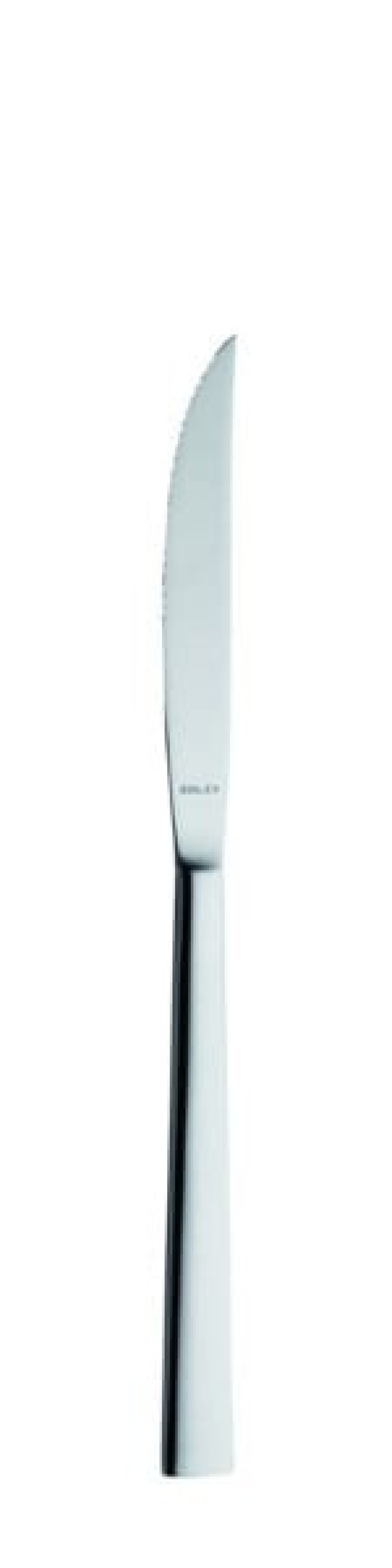 Helena Steakmesser 233 mm - Solex in der Gruppe Tischgedeck / Besteck / Messer bei The Kitchen Lab (1284-21569)