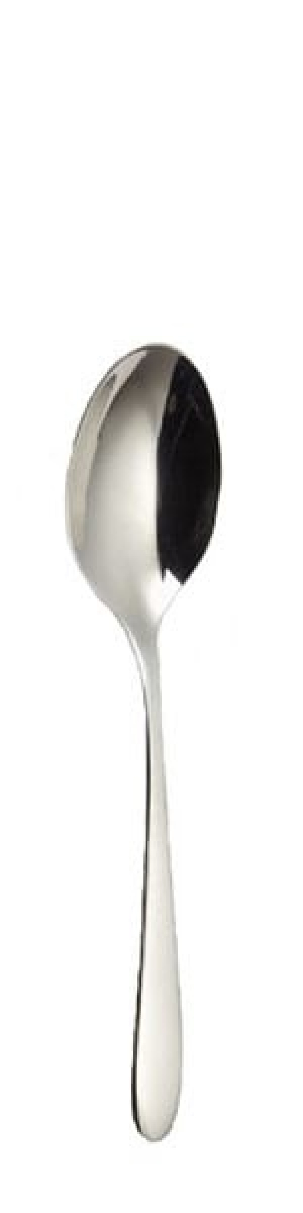 Sarah Table spoon 213 mm - Solex in the group Table setting / Cutlery / Spoons at KitchenLab (1284-21608)
