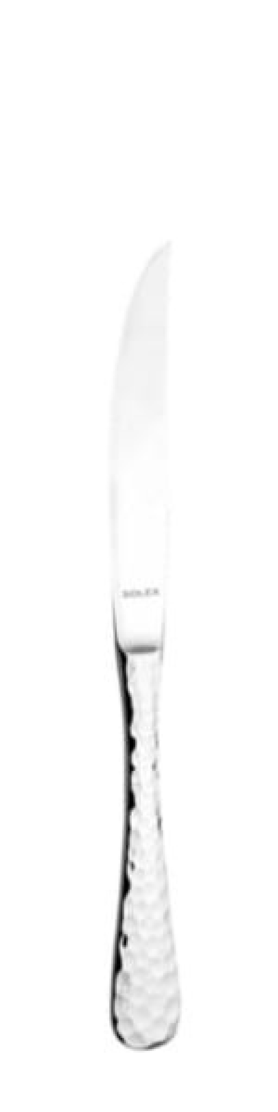 Lena Steak knife 235 mm - Solex in the group Table setting / Cutlery / Knives at KitchenLab (1284-21621)