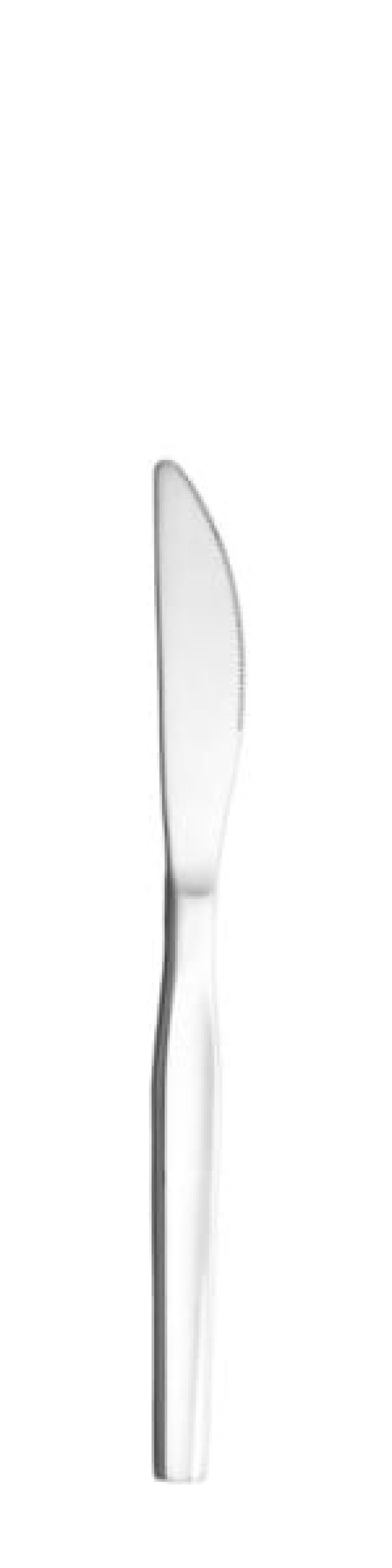 Skai Table knife 208 mm - Solex in the group Table setting / Cutlery / Knives at KitchenLab (1284-21627)
