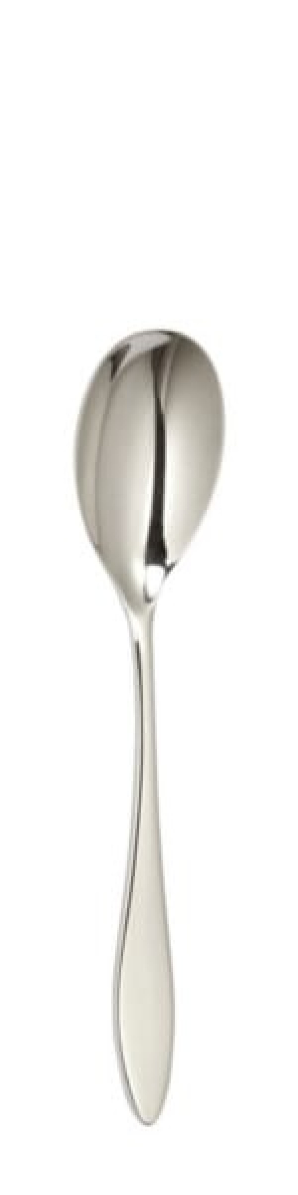 Terra Table spoon 214 mm - Solex in the group Table setting / Cutlery / Spoons at KitchenLab (1284-21628)