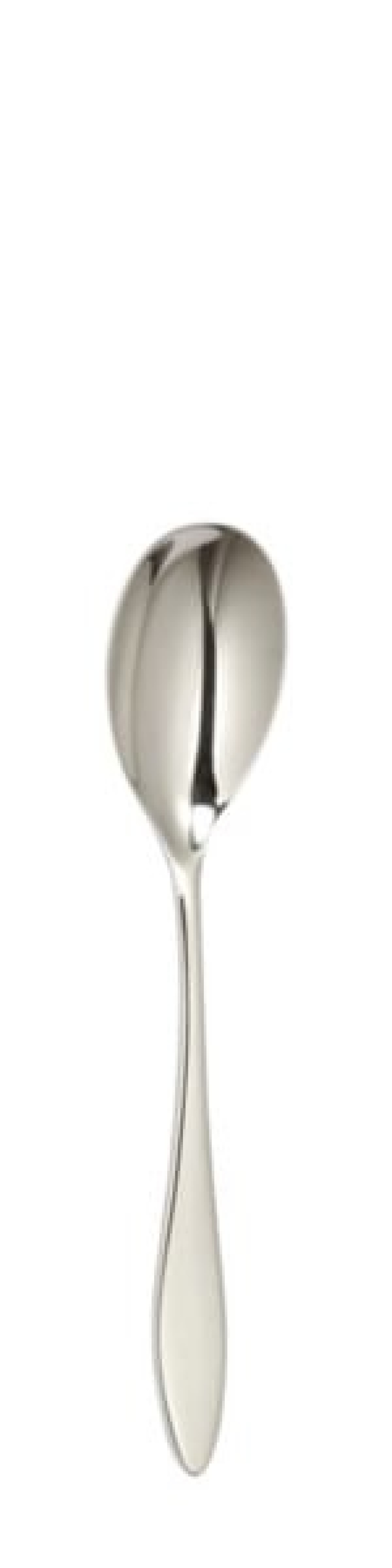 Terra Dessert spoon 195 mm - Solex in the group Table setting / Cutlery / Spoons at KitchenLab (1284-21630)
