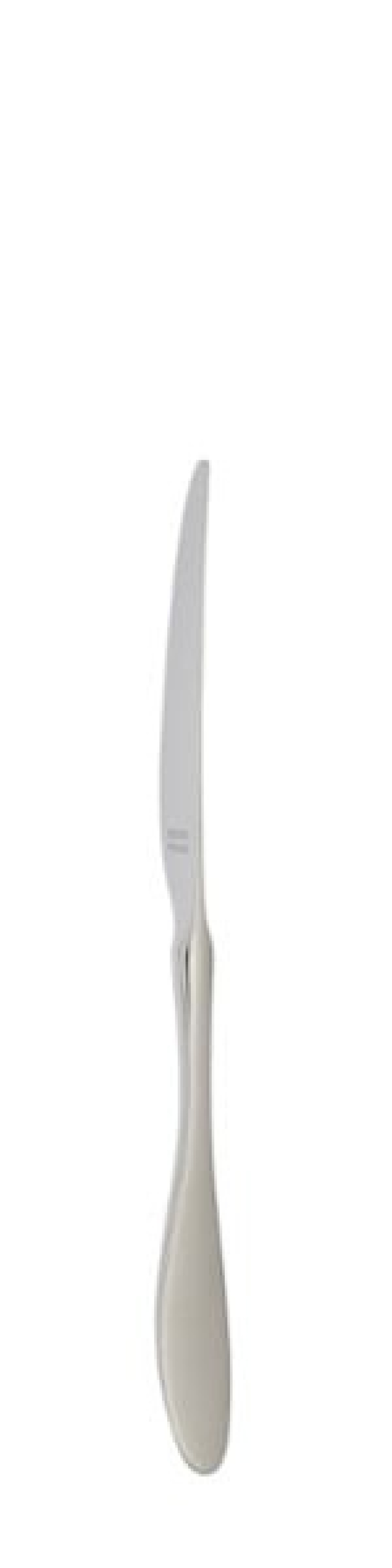Terra Dessert knife 210 mm - Solex in the group Table setting / Cutlery / Knives at KitchenLab (1284-21642)