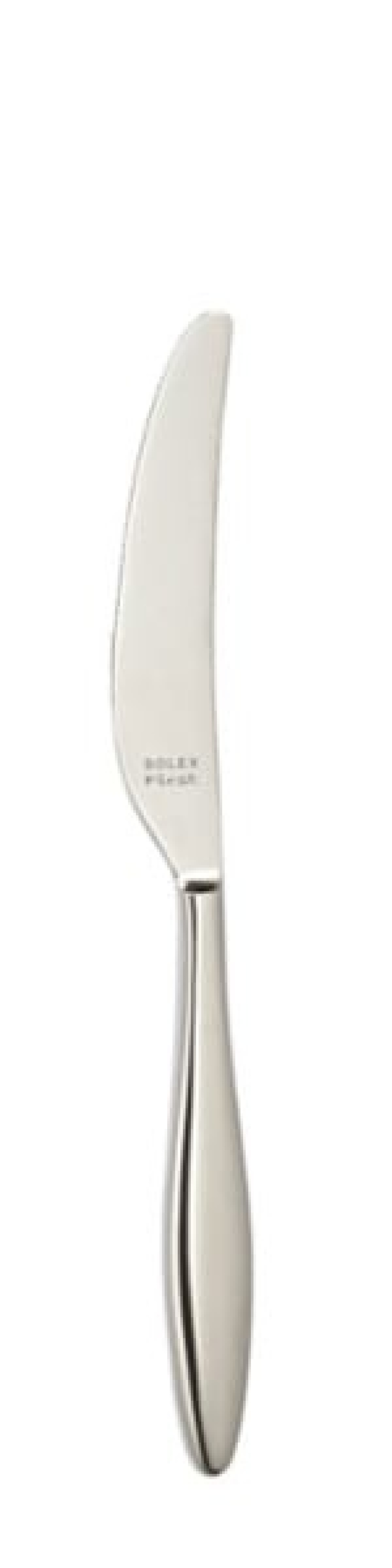 Terra Table knife 240 mm - Solex in the group Table setting / Cutlery / Knives at KitchenLab (1284-21643)