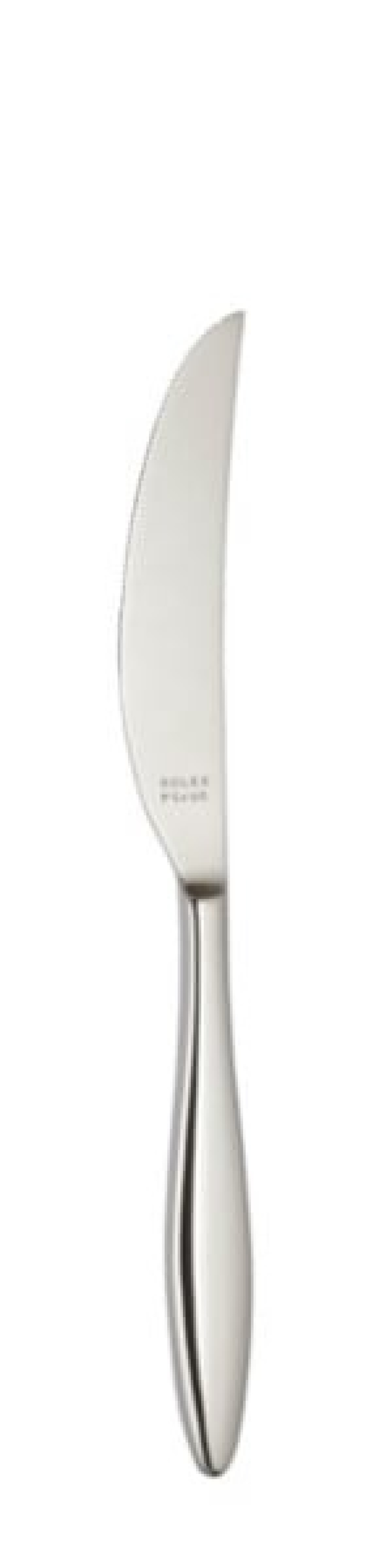 Terra Table knife 239 mm - Solex in the group Table setting / Cutlery / Knives at KitchenLab (1284-21645)